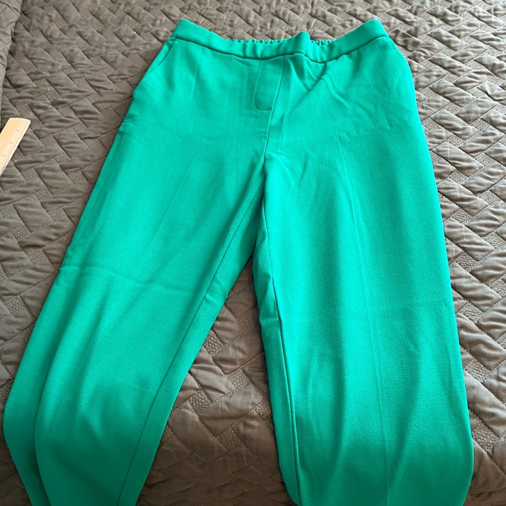 Rachel Zoe Vibrant Green Pants
